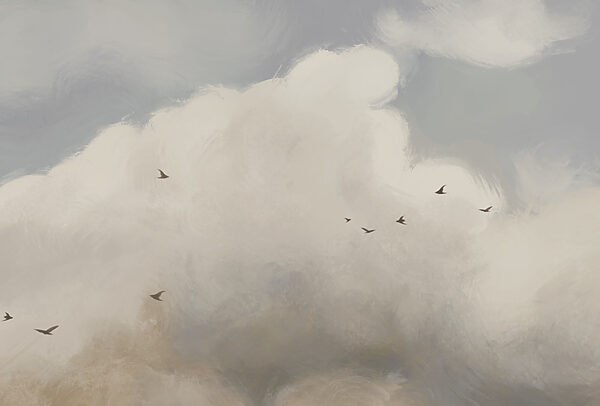 Vliegende vogels in de lucht Vliegende vogels in de lucht