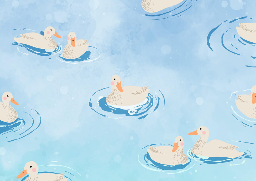 Groep eenden zwemmend in water