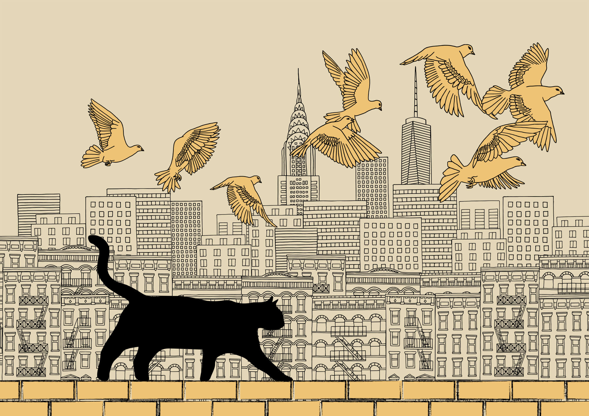 Cat walking on a wall with birds flying in the sky Cat walking on a wall with birds flying in the sky