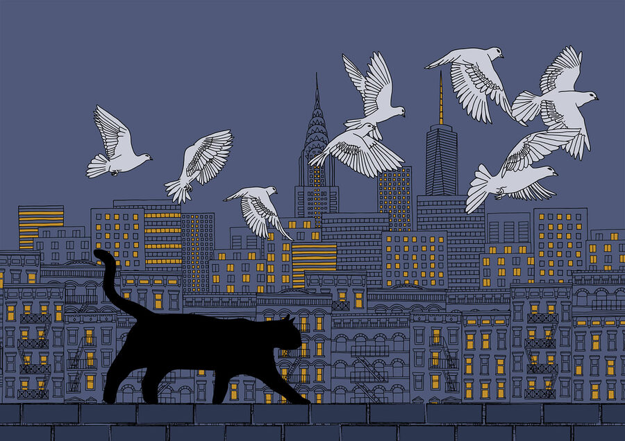 Kat loopt op een muur met vliegende vogels in de lucht