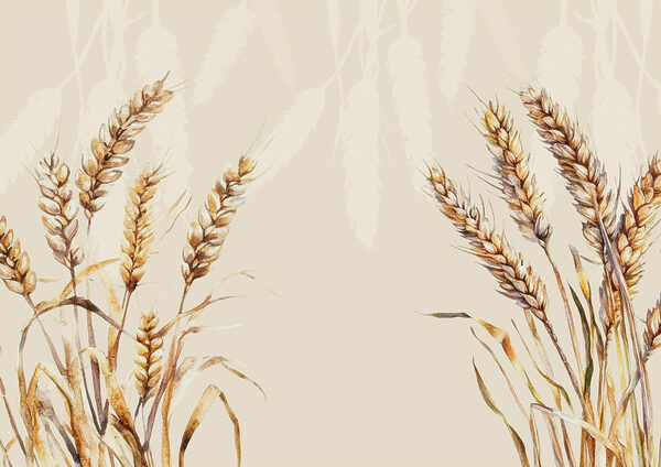 Schilderij van tarwe op een witte achtergrond Schilderij van tarwe op een witte achtergrond