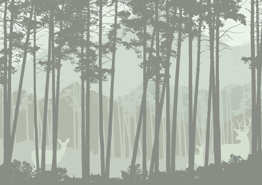 Groep bomen in een bos