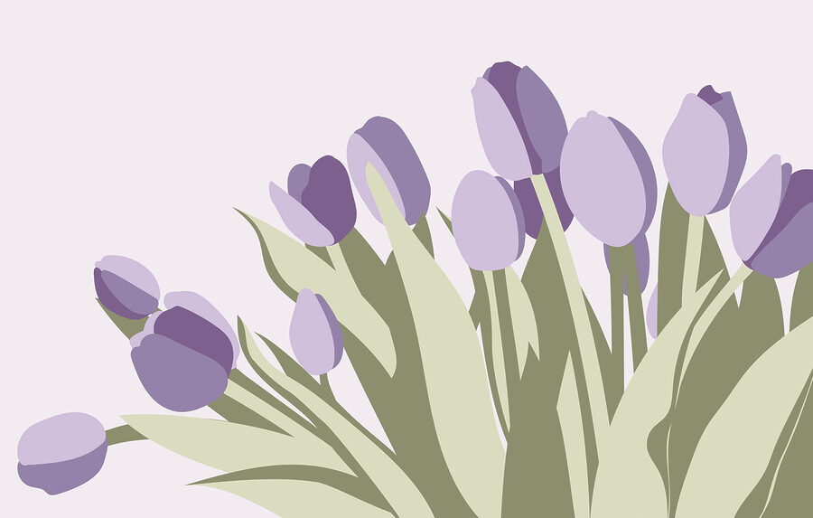 Bos paarse tulpen