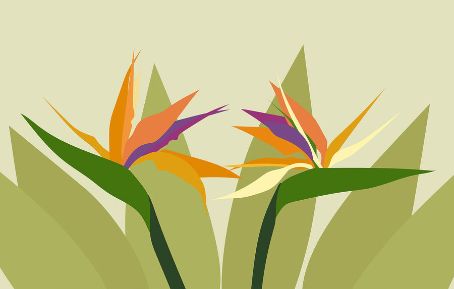 Kleurrijke bloemen op groene stelen