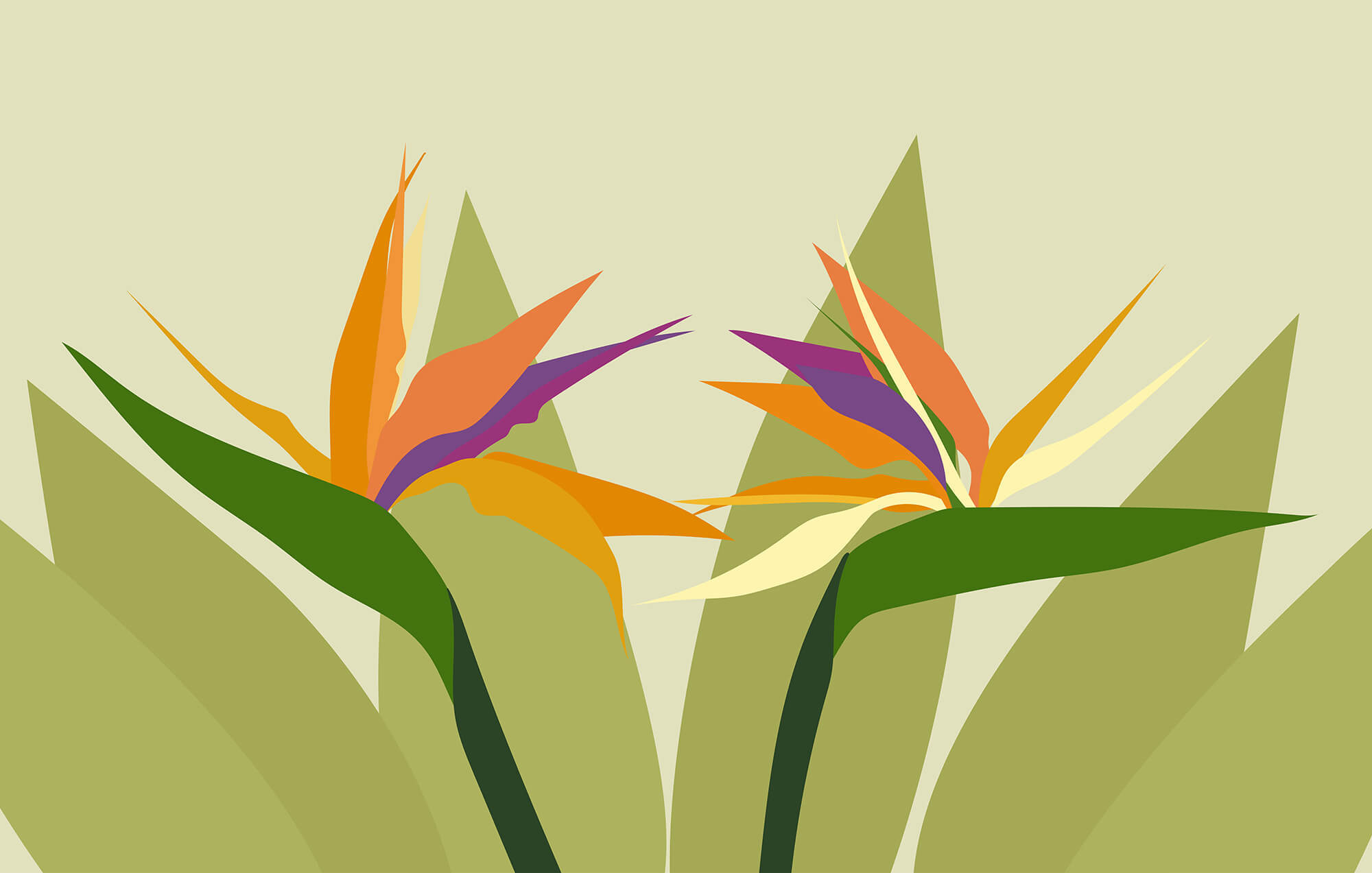 Colorful flowers on green stems Colorful flowers on green stems