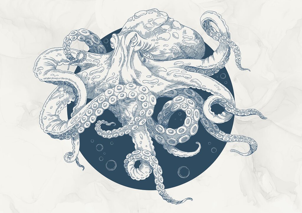 Tekening van een octopus Tekening van een octopus