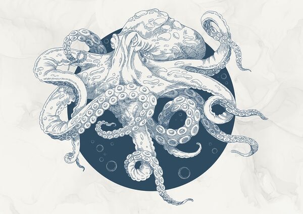 Tekening van een octopus Tekening van een octopus