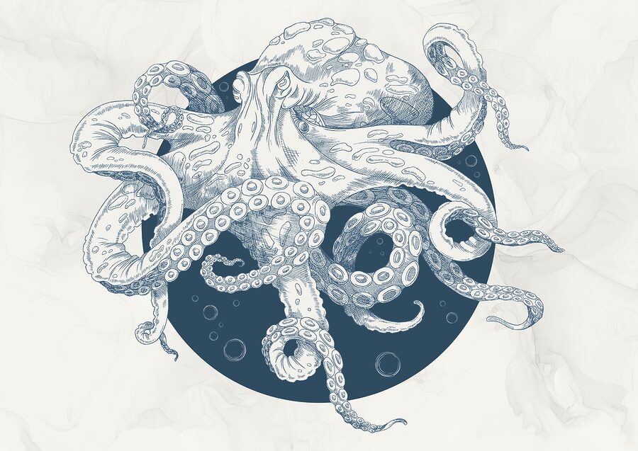 Tekening van een octopus
