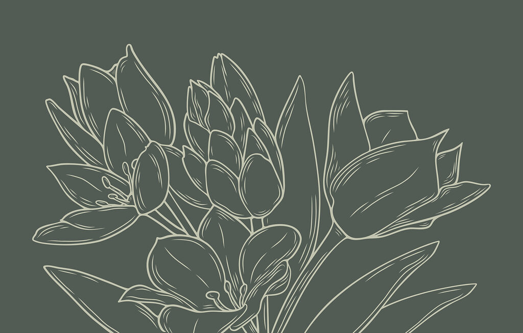 Tekening van bloemen op een plant Tekening van bloemen op een plant