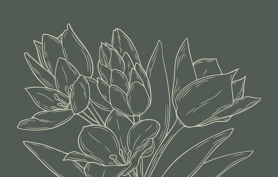 Tekening van bloemen op een plant