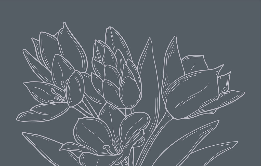 Delicate bloemen tegen een donkere achtergrond Delicate bloemen tegen een donkere achtergrond
