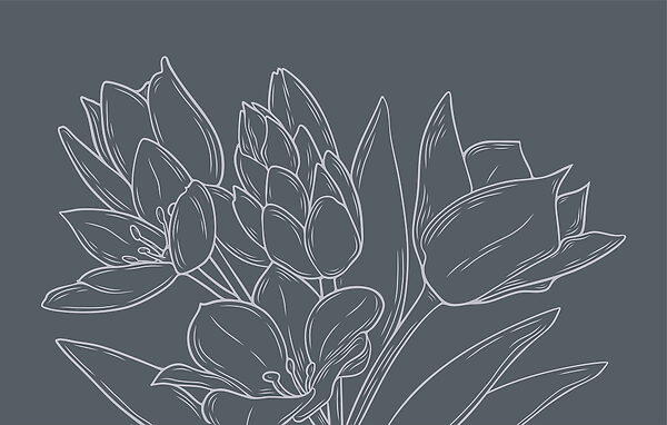 Delicate bloemen tegen een donkere achtergrond Delicate bloemen tegen een donkere achtergrond