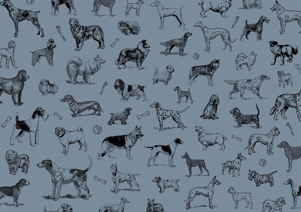 Groep honden op blauwe achtergrond t00173v1p 1024x724 - Groep honden op blauwe achtergrond