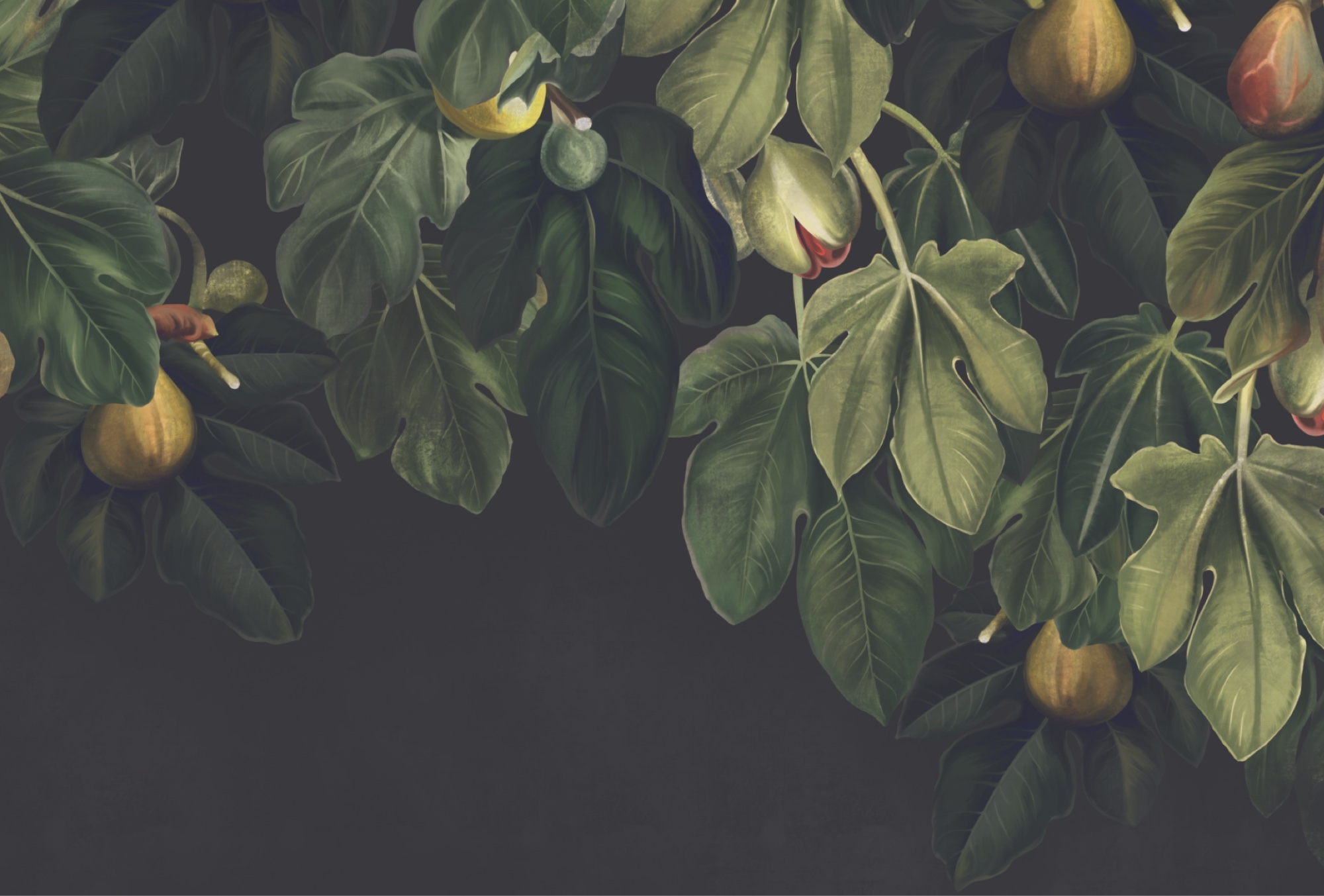 Lush foliage with vibrant fruit display Lush foliage with vibrant fruit display