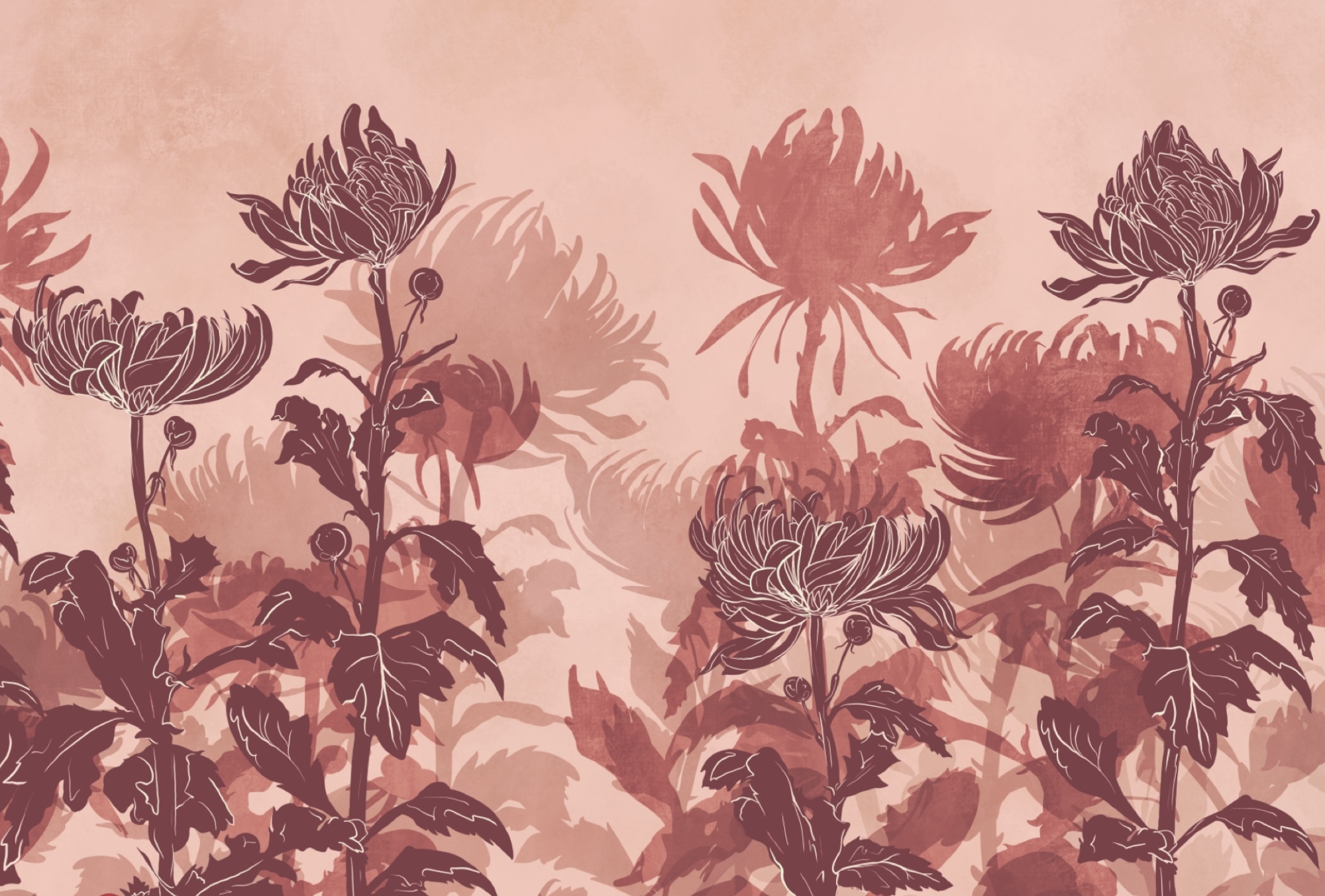 Drawing of flowers and leaves Drawing of flowers and leaves