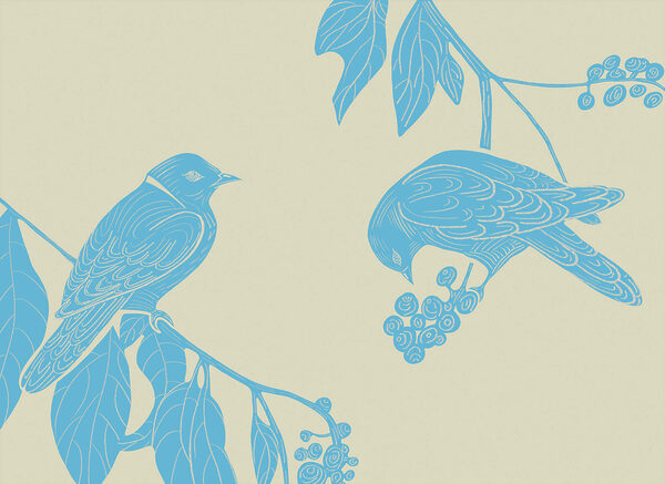 Drawing of birds on a branch