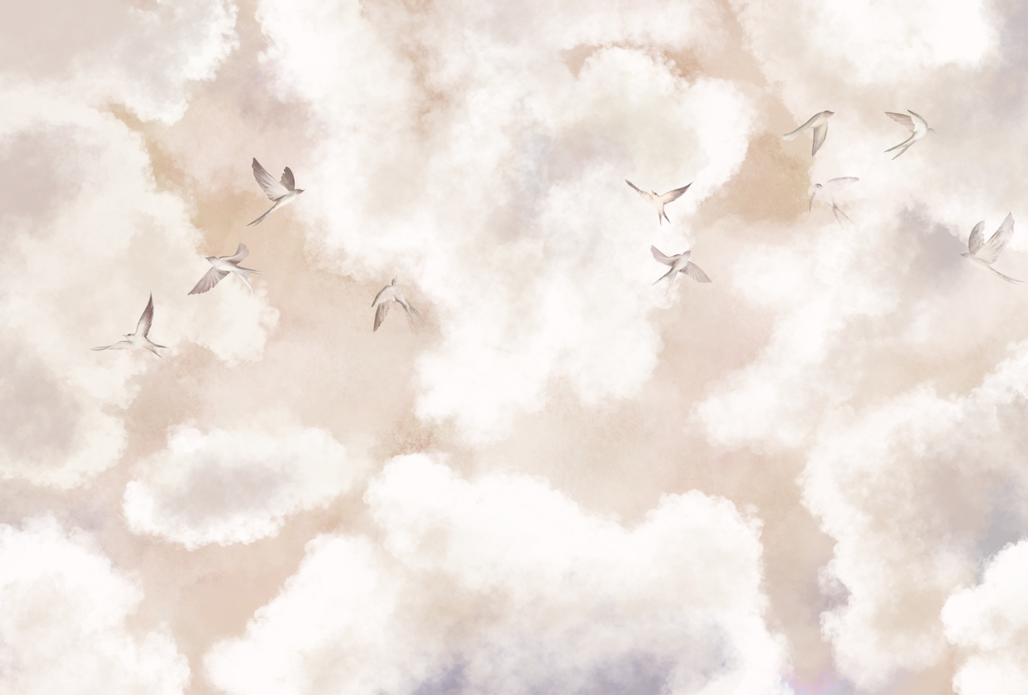 Group of birds flying in the sky Group of birds flying in the sky