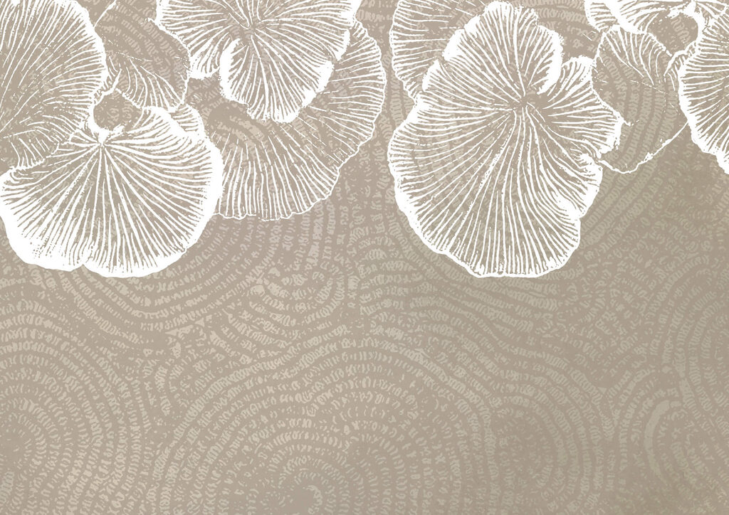 Delicate petals on a soft background