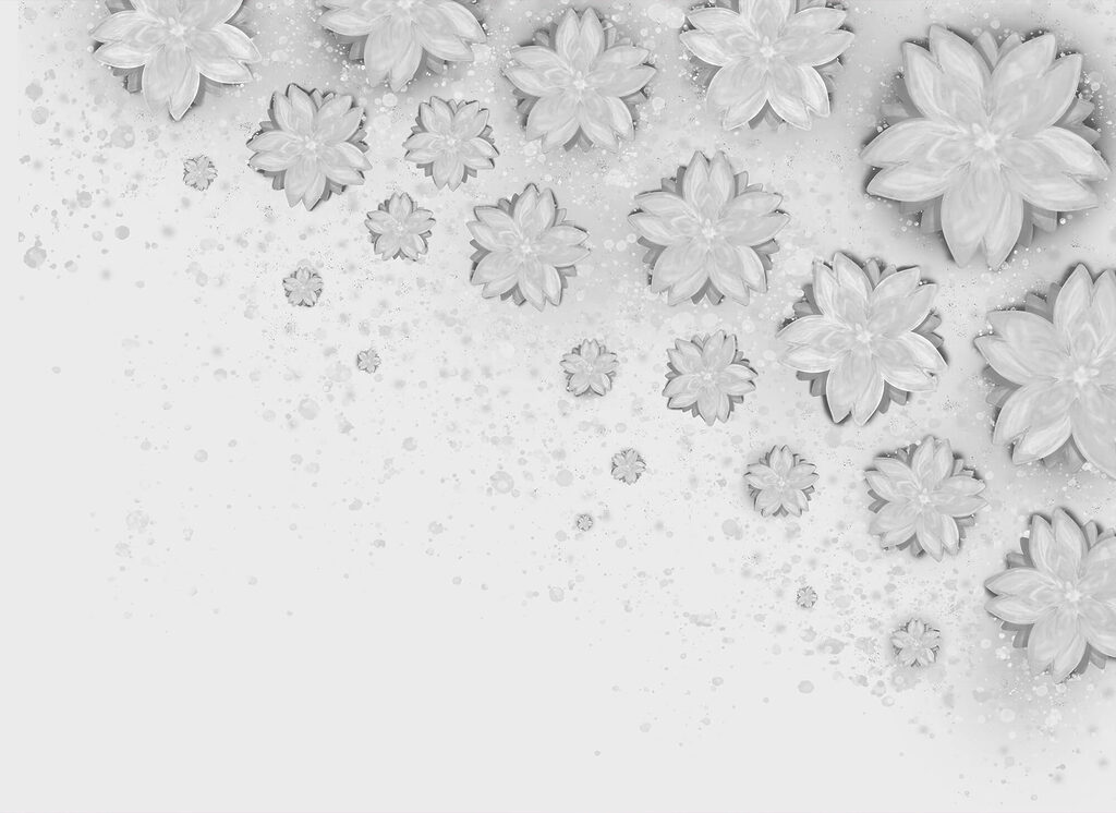 White flowers on a white surface