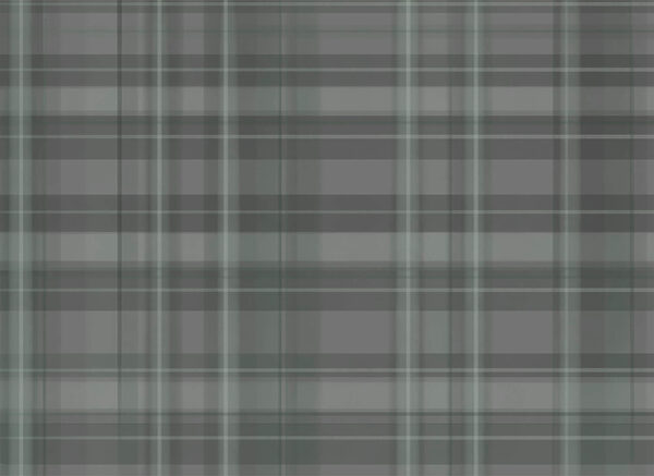 Grey and black plaid