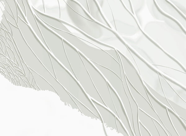 White background with lines White background with lines