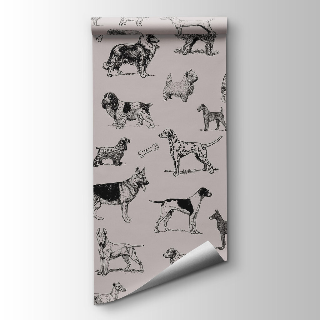 Group of dogs in different poses Group of dogs in different poses