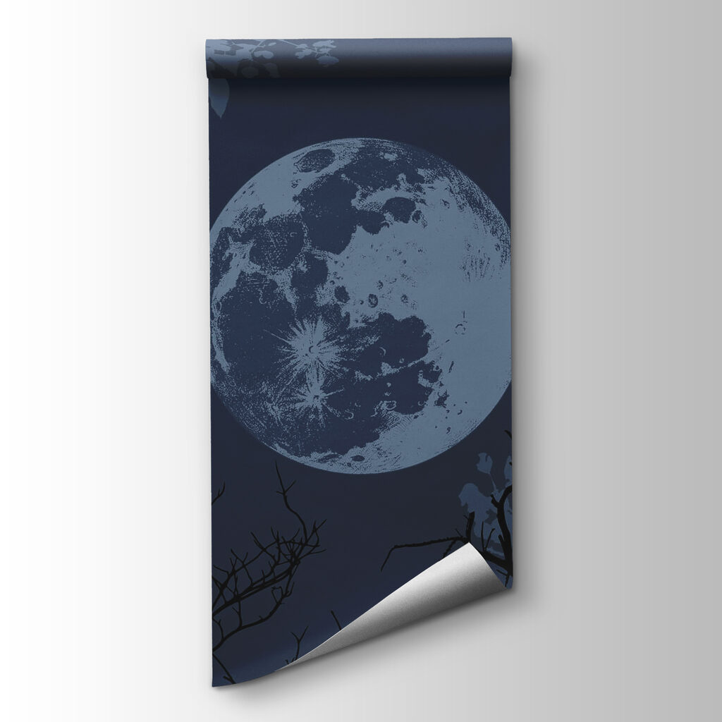 Moon in the sky Moon in the sky