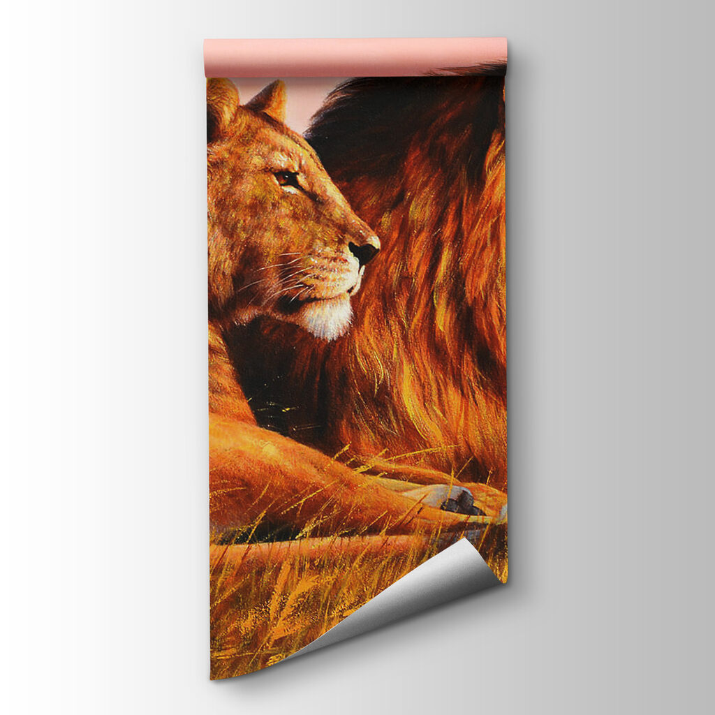 Couple of lions lying in grass Couple of lions lying in grass