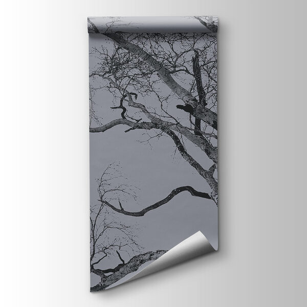 Tree with branches and a moon in the background