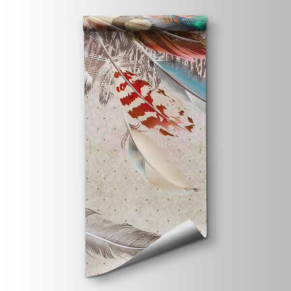 Group of colorful feathers