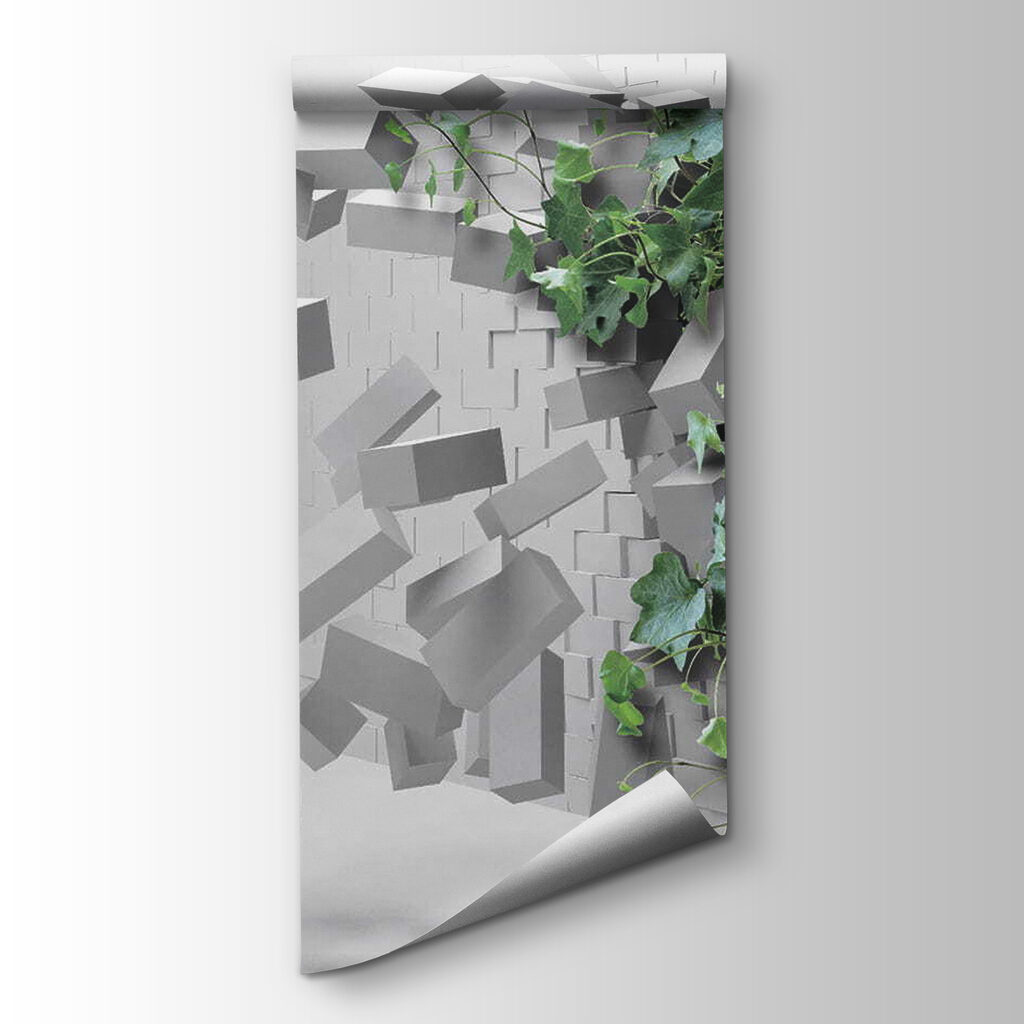 Plant breaking through a wall Plant breaking through a wall