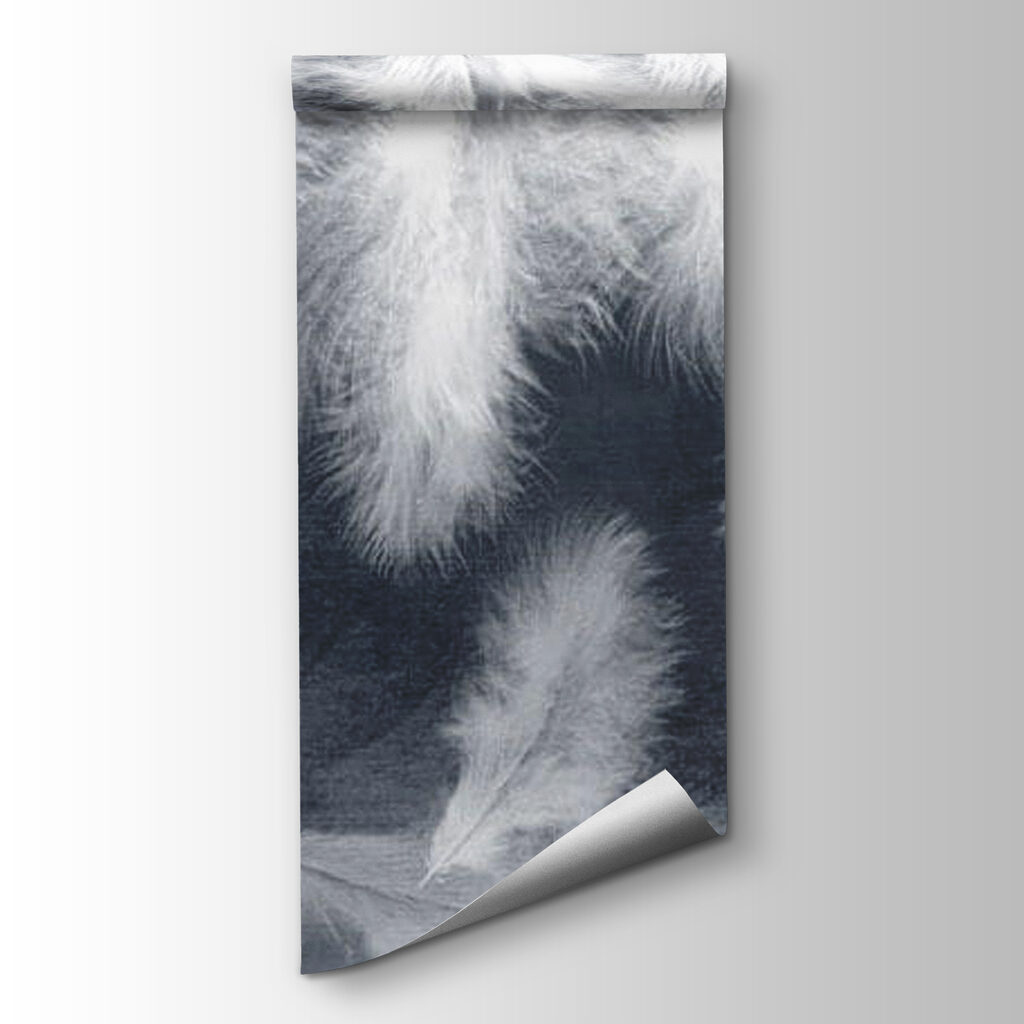 Group of white feathers