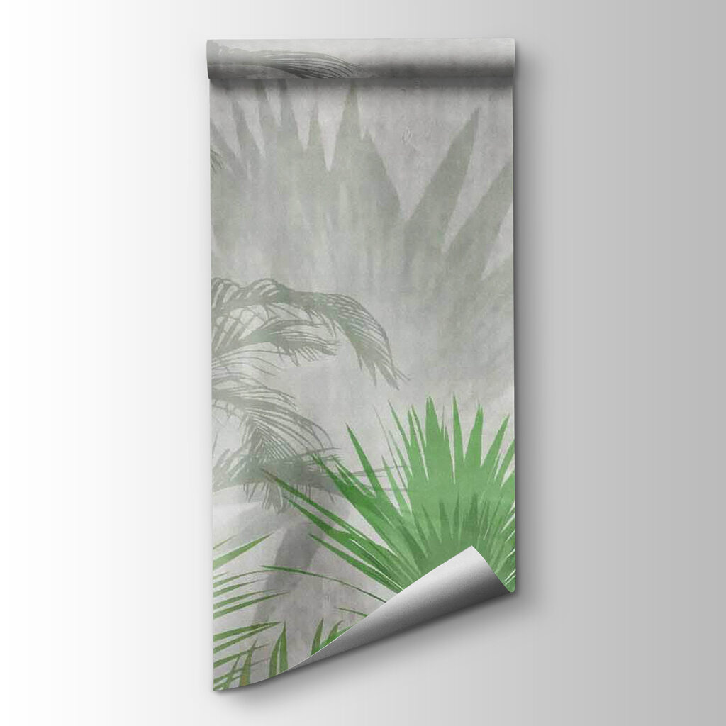 Shadow of a palm tree Shadow of a palm tree