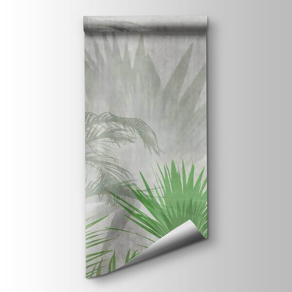 Shadow of a palm tree Shadow of a palm tree