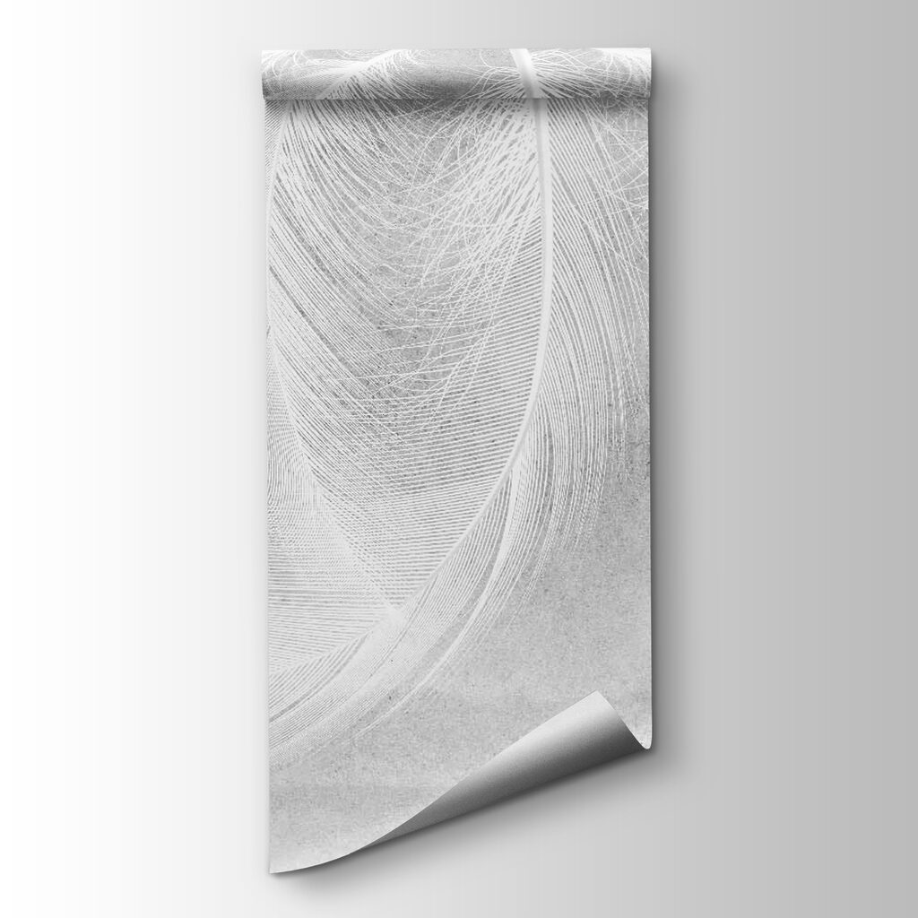 Delicate feathers in soft light