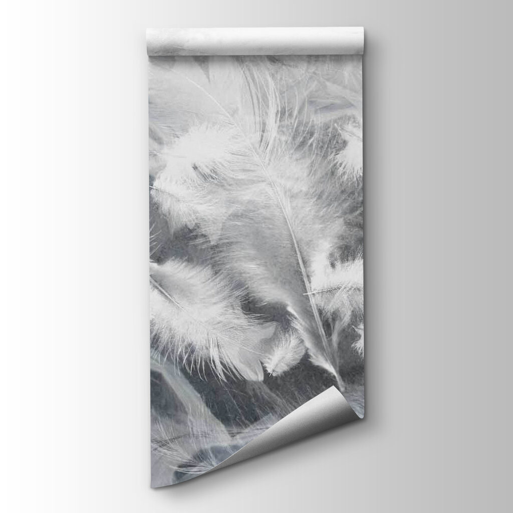 White feathers on a window