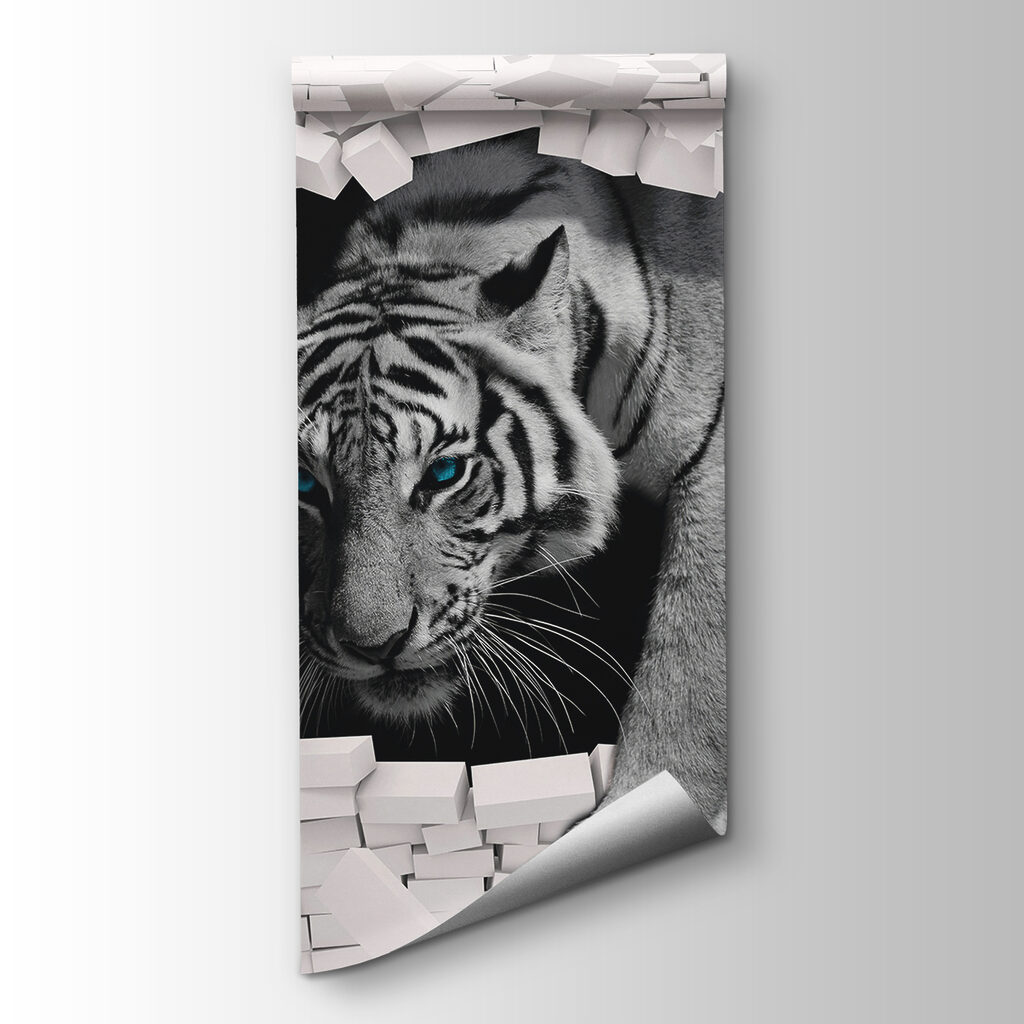 Tiger coming out of a wall
