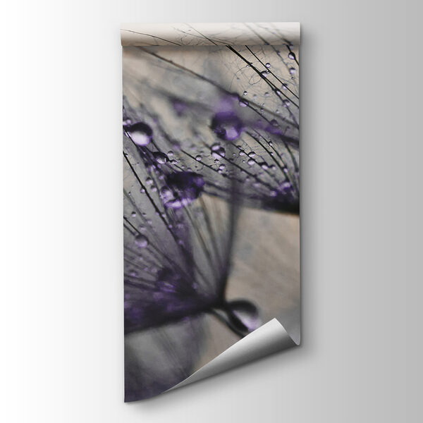 Delicate droplets on fragile petals