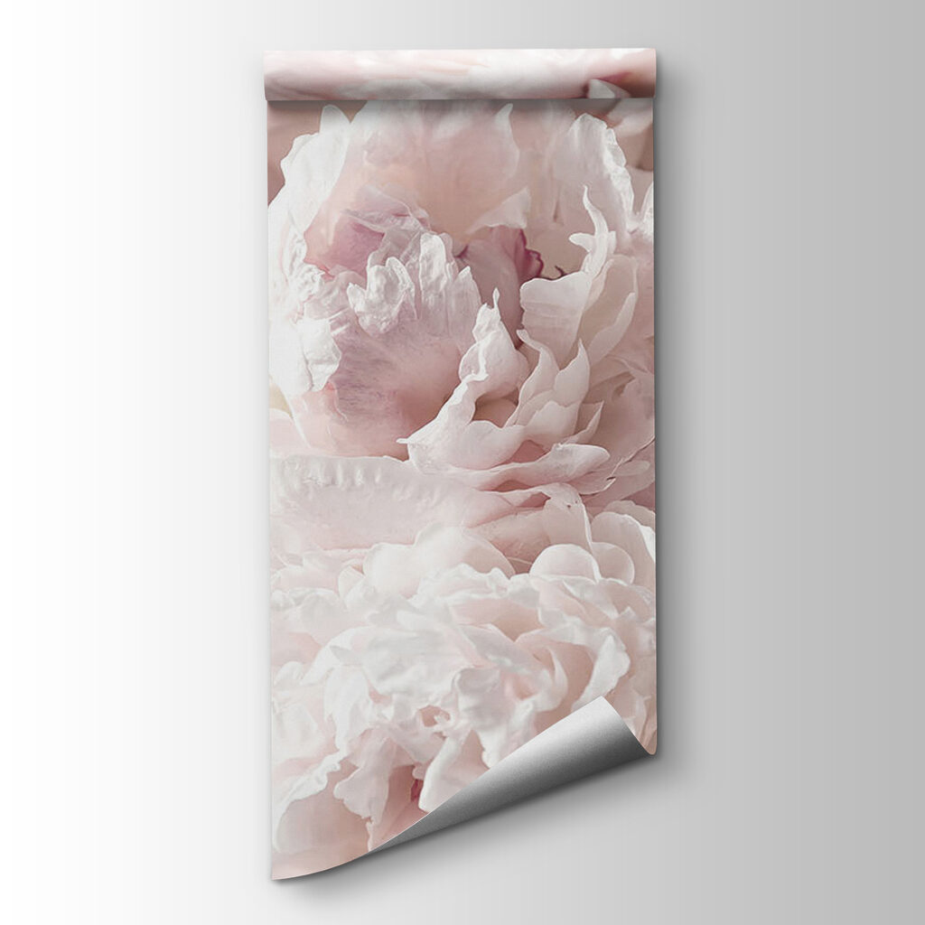 Group of pink flowers Group of pink flowers