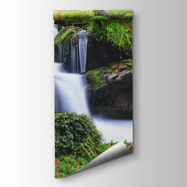 Lion lying on a rock next to a waterfall