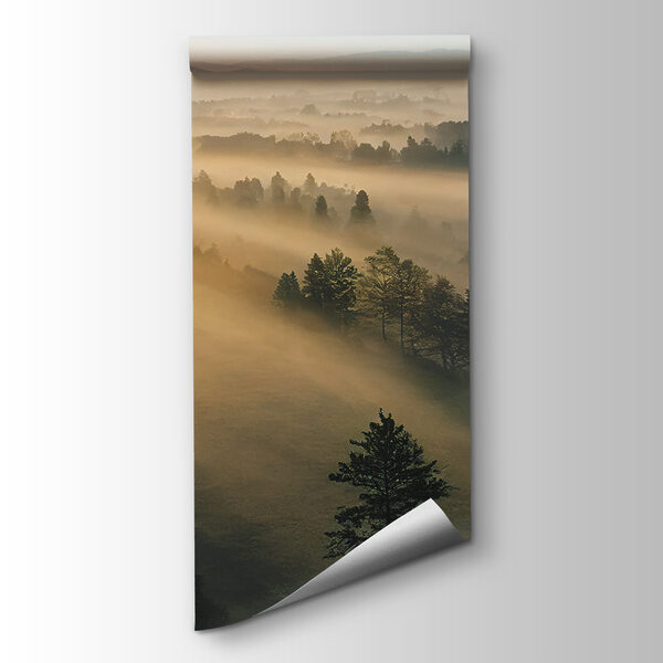 Sun shining through the trees Sun shining through the trees