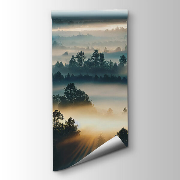 Foggy landscape with trees and mountains Foggy landscape with trees and mountains