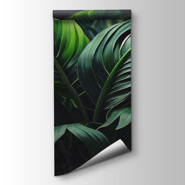 Lush green leaves in soft light Lush green leaves in soft light