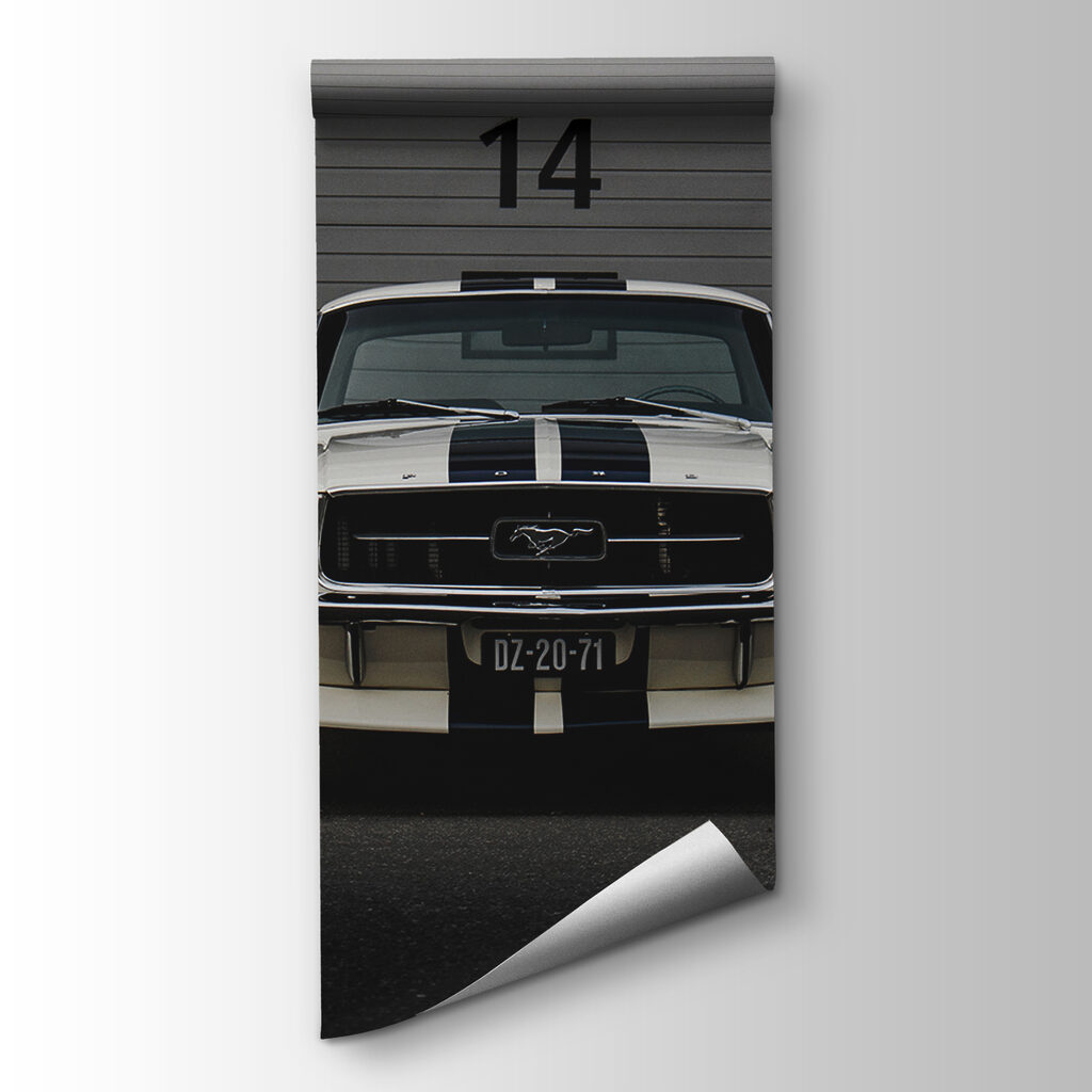 Car parked in front of a garage door Car parked in front of a garage door