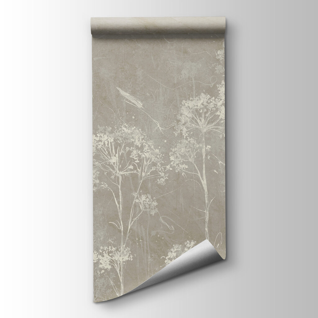 A white flowers on a gray background A white flowers on a gray background