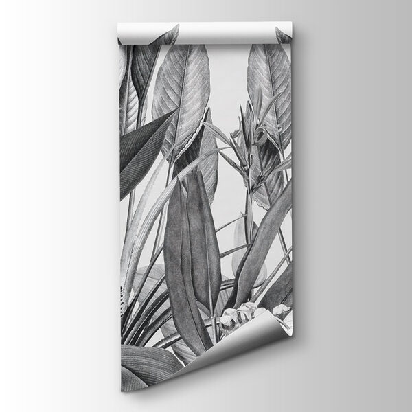 Tropical foliage in monochrome shades Tropical foliage in monochrome shades