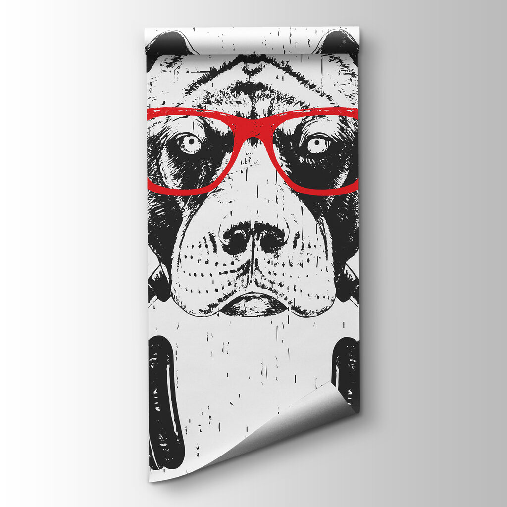 A dog wearing glasses and headphones A dog wearing glasses and headphones