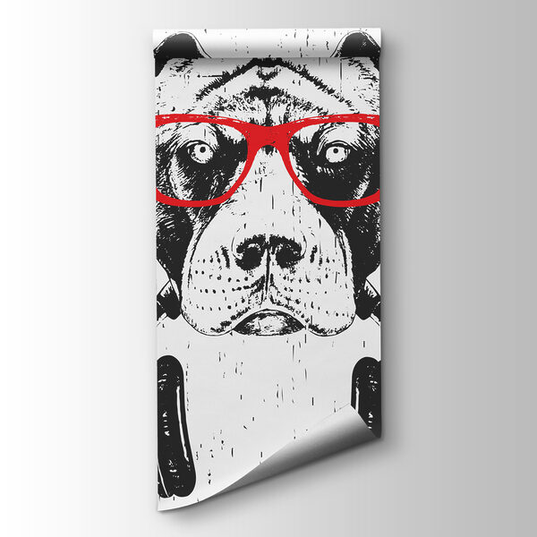 A dog wearing glasses and headphones A dog wearing glasses and headphones