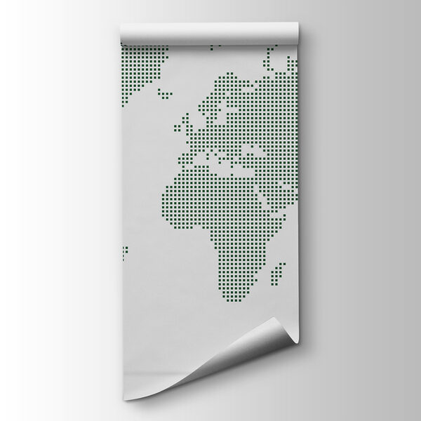 A map of the world