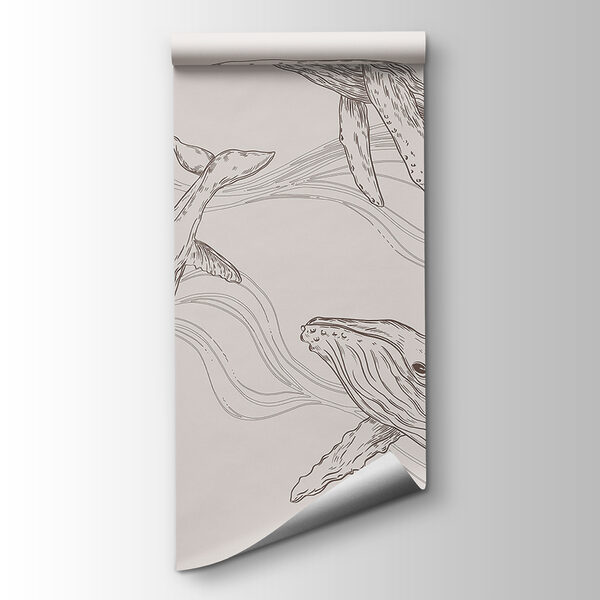 A group of whales swimming in the water A group of whales swimming in the water